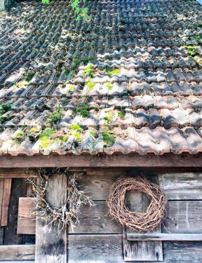 Gasthaus Birke Hotel Kirchzarten Ngoại thất bức ảnh